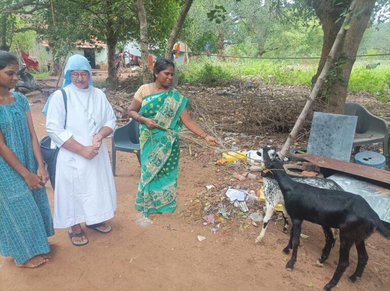 Goat Donation Support – Pudhuchery Guddalur